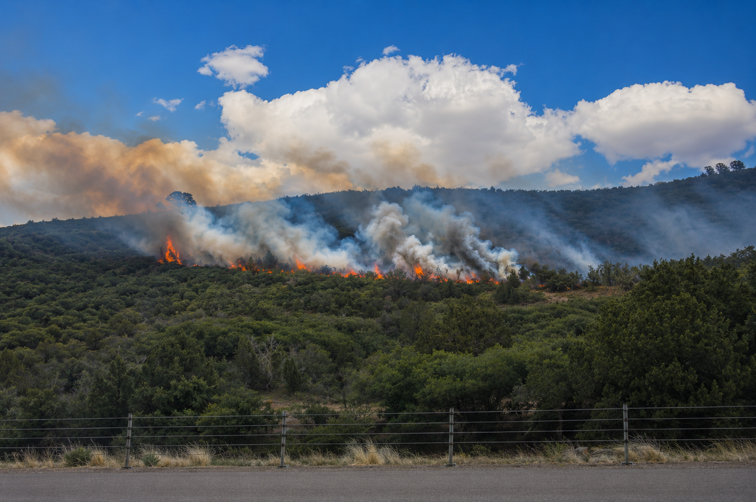 Utah County home insurance wildfire coverage Saratoga Springs homeowners guide 2026