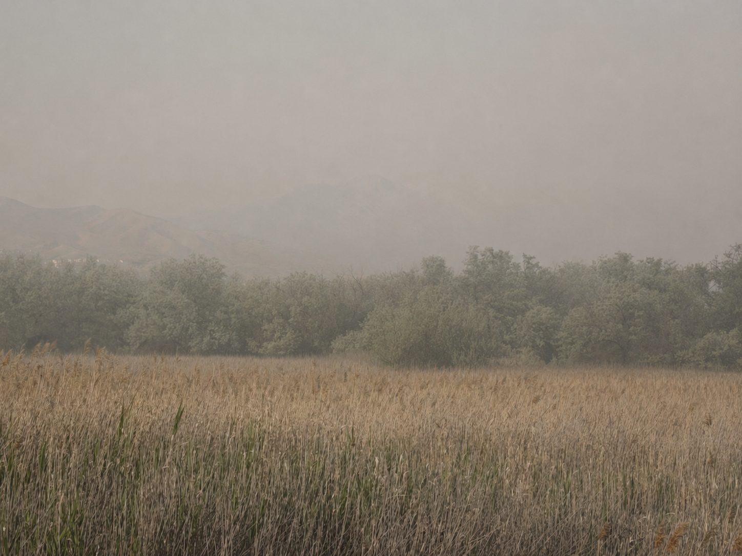 utah-county-air-quality-wildfire-smoke-health-risks-2026