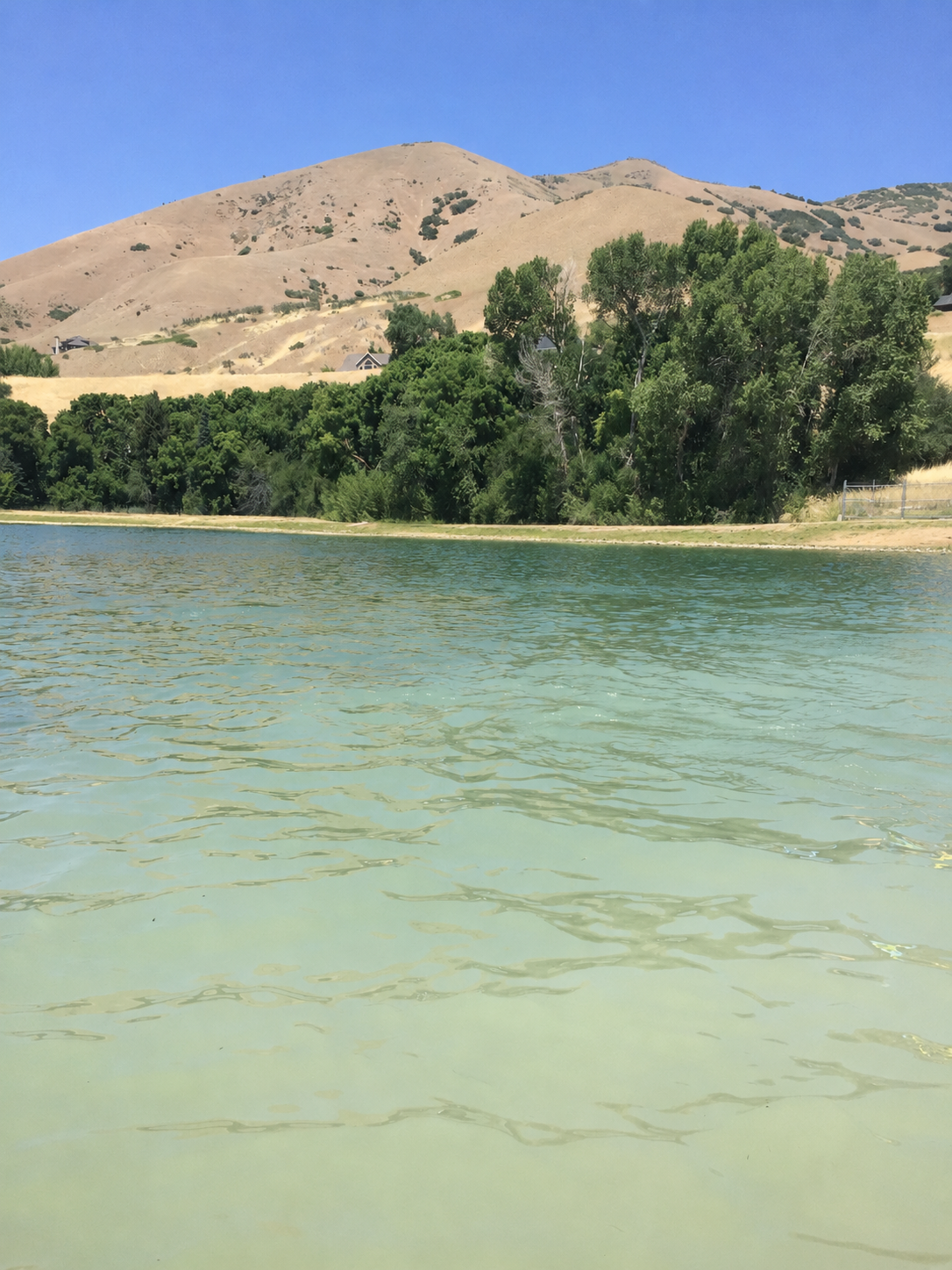 Deer Creek